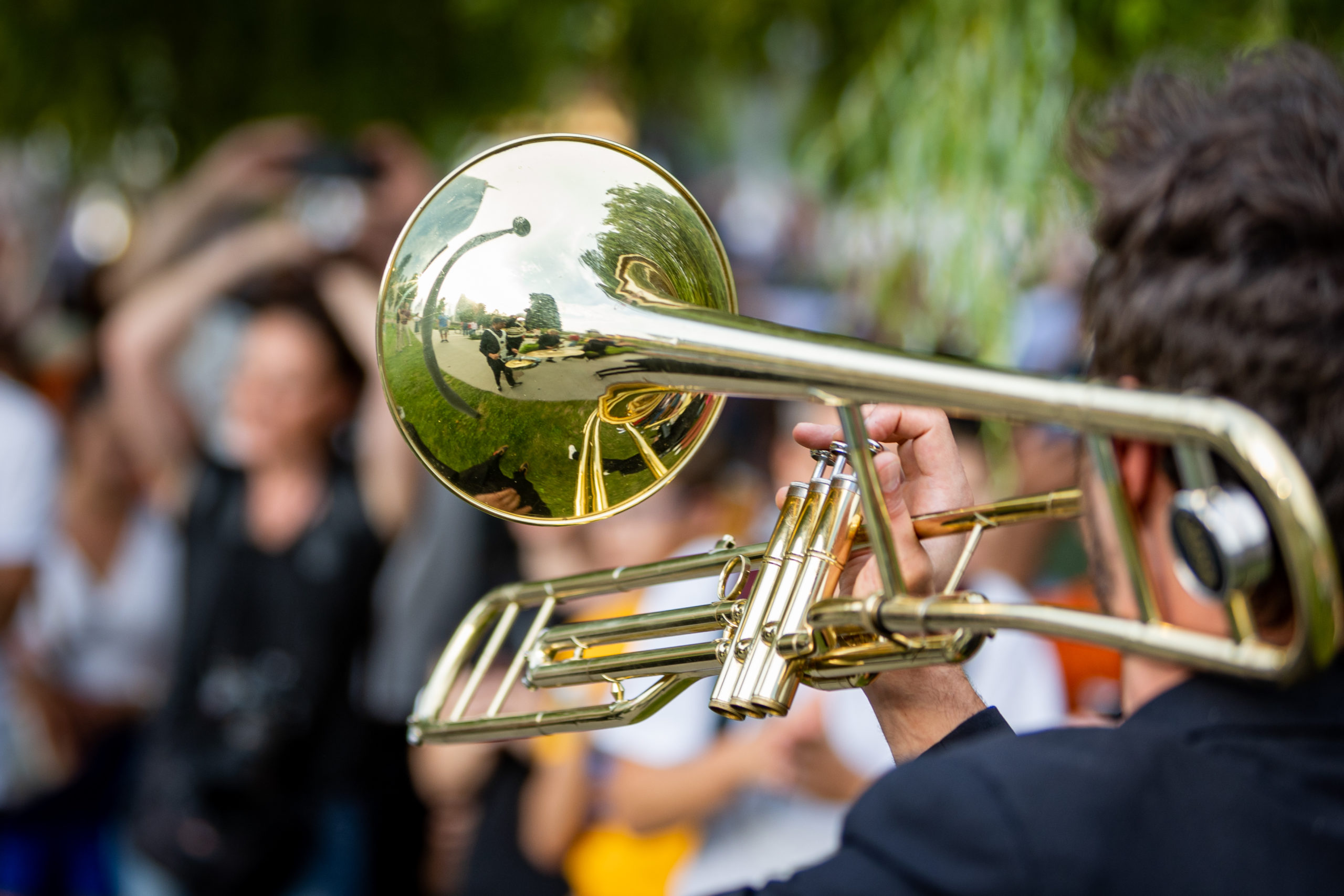BAM Community talent: Musica