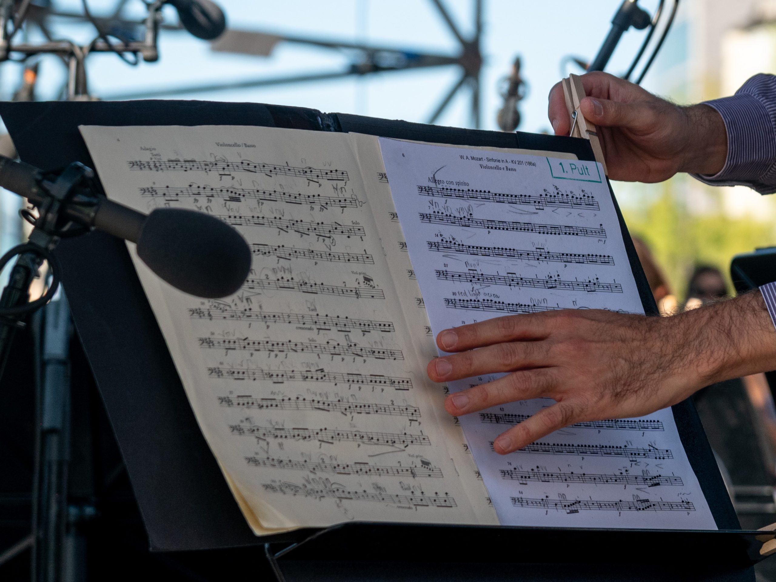 BAM Performing Arts: Insieme a Verdi
